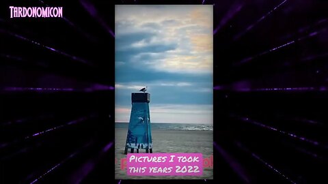 2022 11 02 The PICTURES I TOOK THIS Year 2002 #roadto1k #photography
