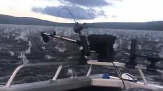 Queda de granizo gigante aterroriza pessoas durante pesca