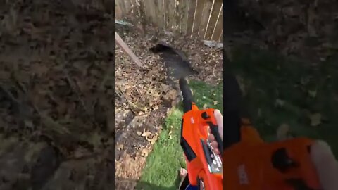 ATLAS 80V Leaf Blower @ Harbor Freight
