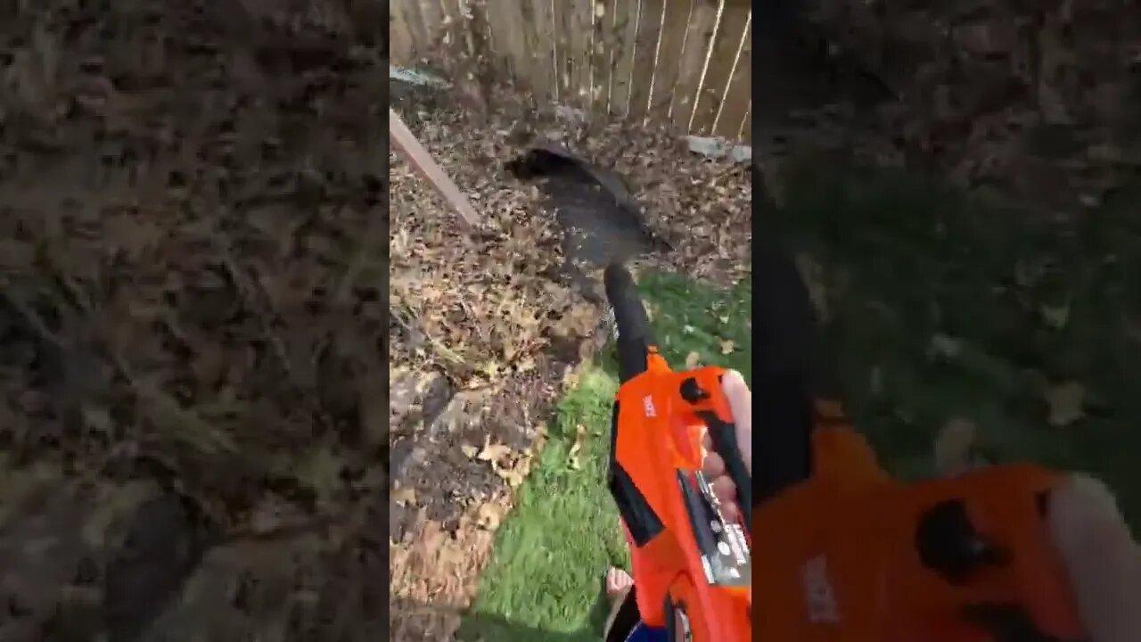 ATLAS 80V Leaf Blower @ Harbor Freight