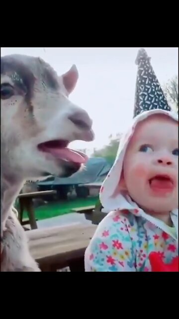 Cute Puppies and Babies Playing Together Compilation