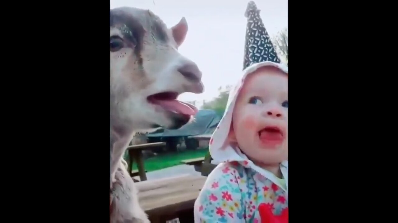 Cute Puppies and Babies Playing Together Compilation