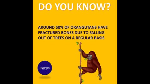 #28 Joyful Facts about birds and animals | Do you know? | Joy Stream