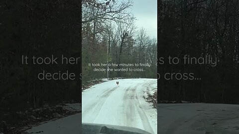 I feel like there is a joke here… #shorts