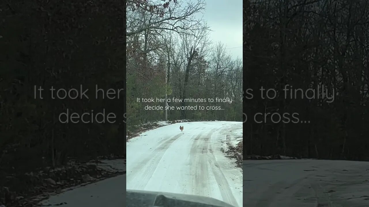 I feel like there is a joke here… #shorts