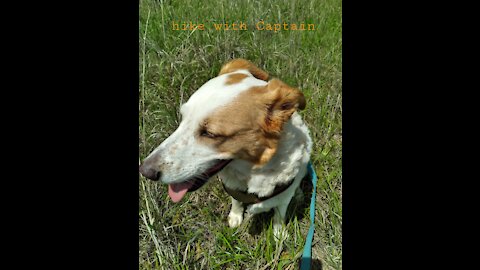 hike with Captain - medicinal waters - pavilion springs in CNRA