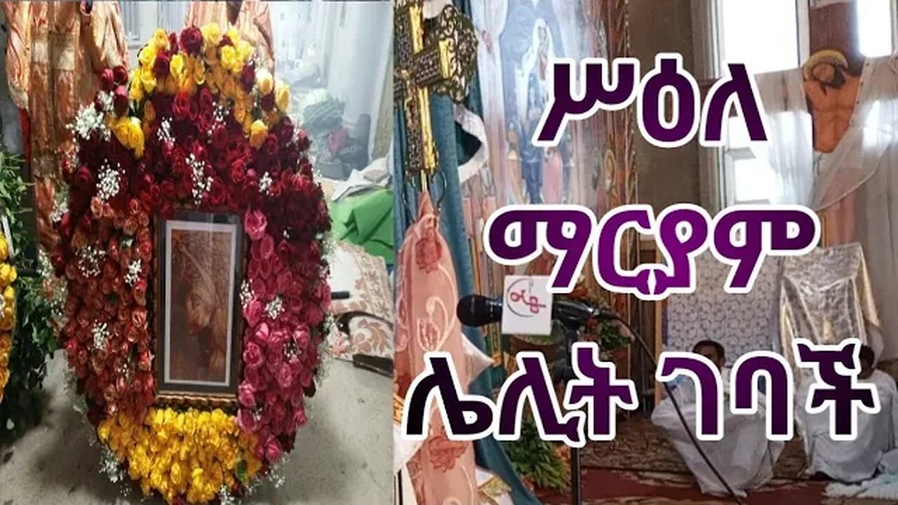 ሌሊት 10 ሰዓት ሥዕለ ማርያም መቅደስ ገባች | ነሐሴ 14 ሌሊት ቀበና መድኃኔዓለም | Dr.Rodas