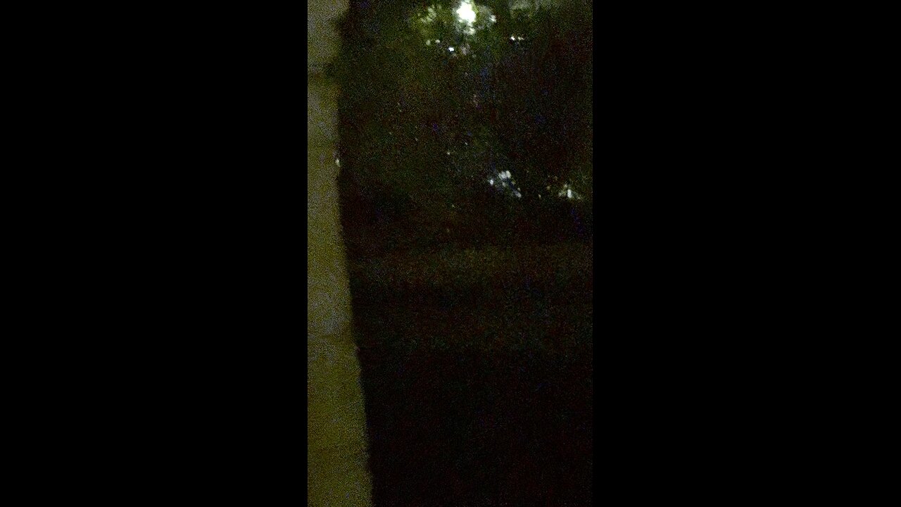 Demonic entity face filmed in yard (zoom in)