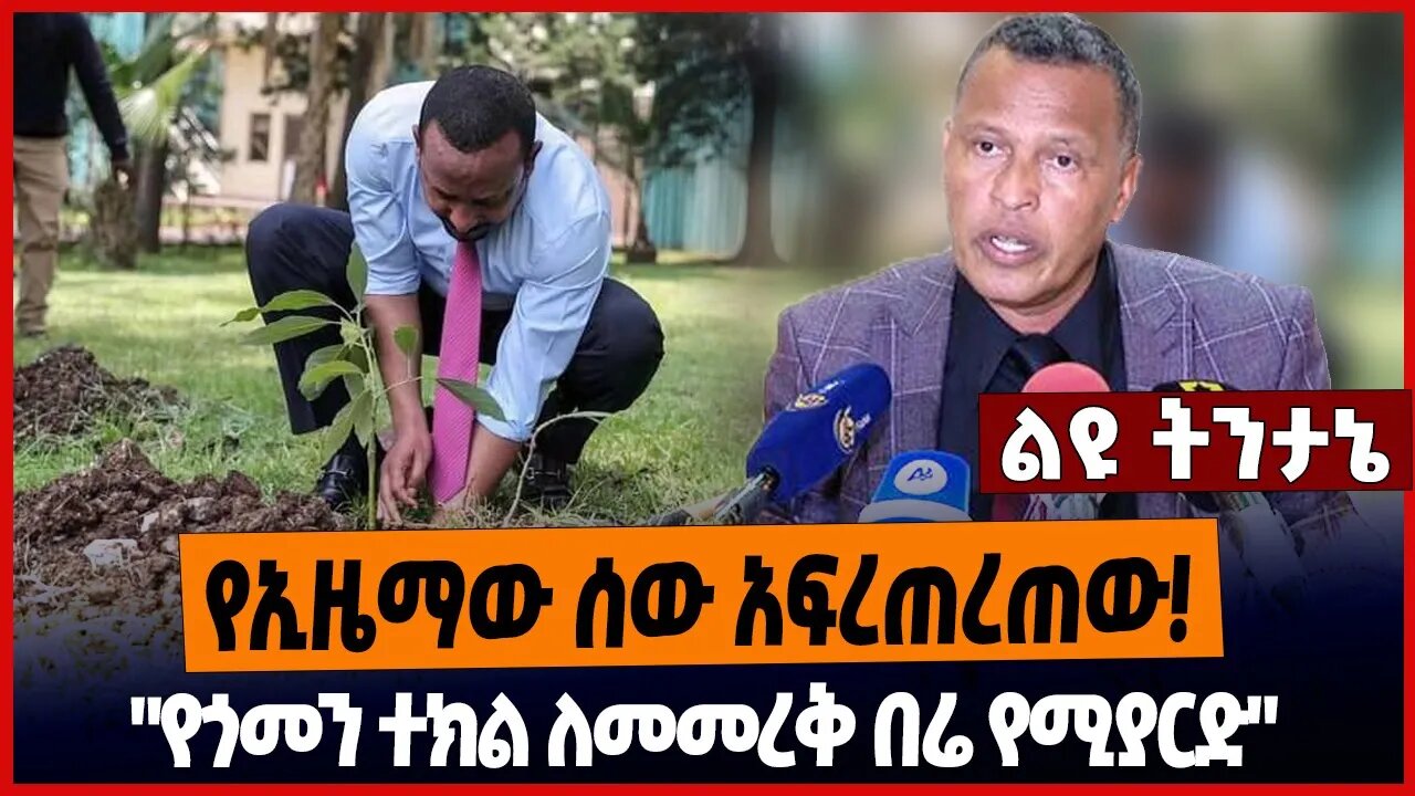 የኢዜማው ሰው አፍረጠረጠው❗️አየጎመን ተክል ለመመረቅ በሬ የሚያ*ርድ"