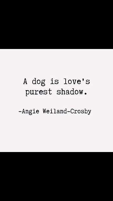 Roadkill in dog food ingredients…