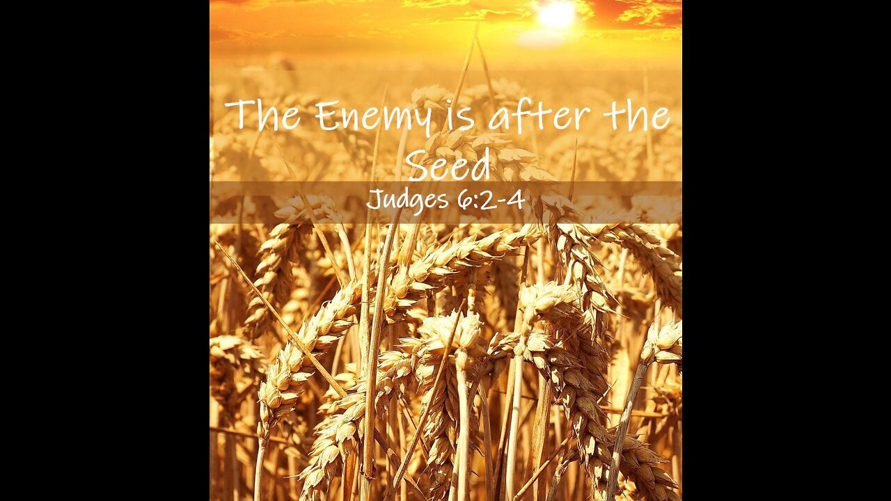 The Enemy is After the Seed