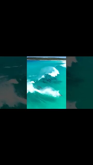 Dolphins surfing waves in crystal clear waters off the coast of Esperance, Western Australia.