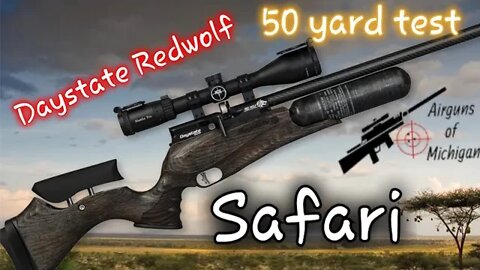 Daystate Redwolf Safari 25 caliber 50 yard testing