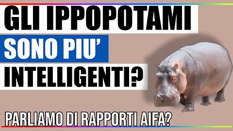 GLI ITALIANI SONO STATI ABBANDONATI - GLI IPPOPOTAMI SONO PIU’ INTELLIGENTI?