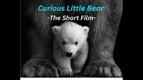 Curious Little Bear - Short Film