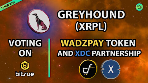 GREYHOUND (XRPL) VOTING ON BITRUE - WADZPAY TOKEN AND XDC PARTNERSHIP