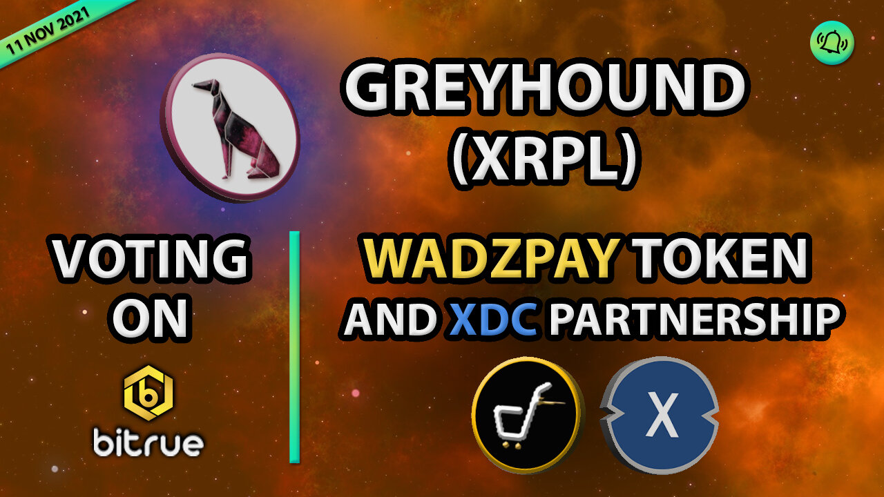 GREYHOUND (XRPL) VOTING ON BITRUE - WADZPAY TOKEN AND XDC PARTNERSHIP