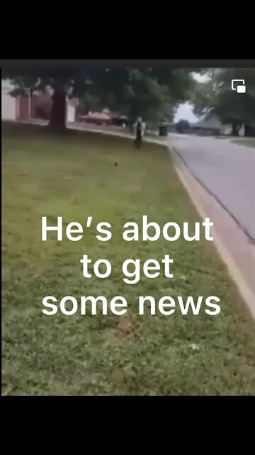 Boy reacts to Moms fight with the school