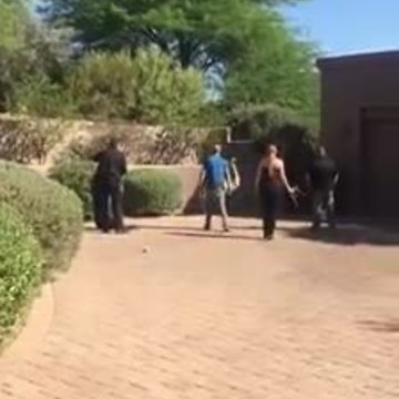 Police capture runaway emu