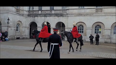 Pigeon inspection #horseguardsparade