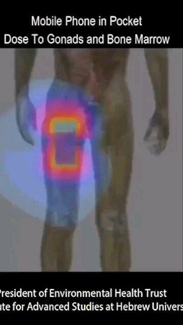 Do you keep your phone in your Pocket?... THEN WATCH THIS!