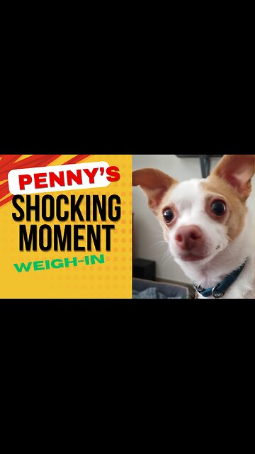 Does Penny make the weight?