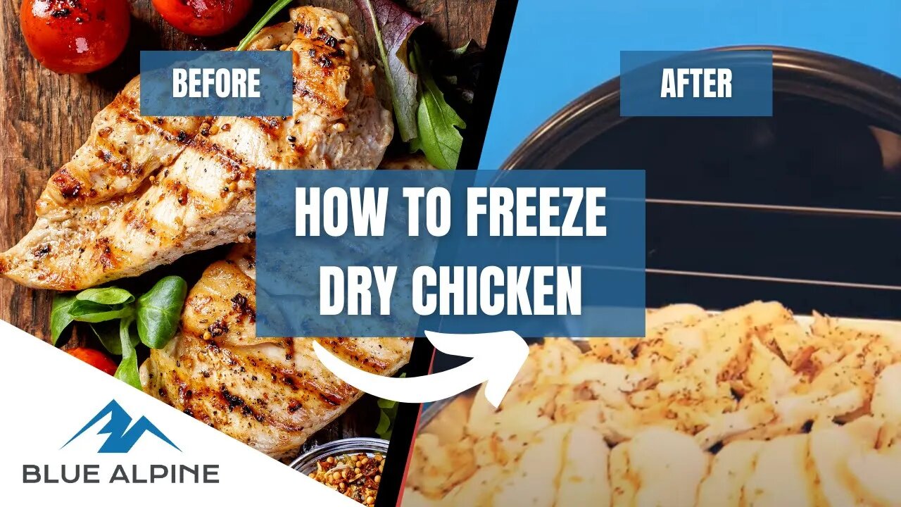 How To Freeze Dry 100 Pounds Of Chicken