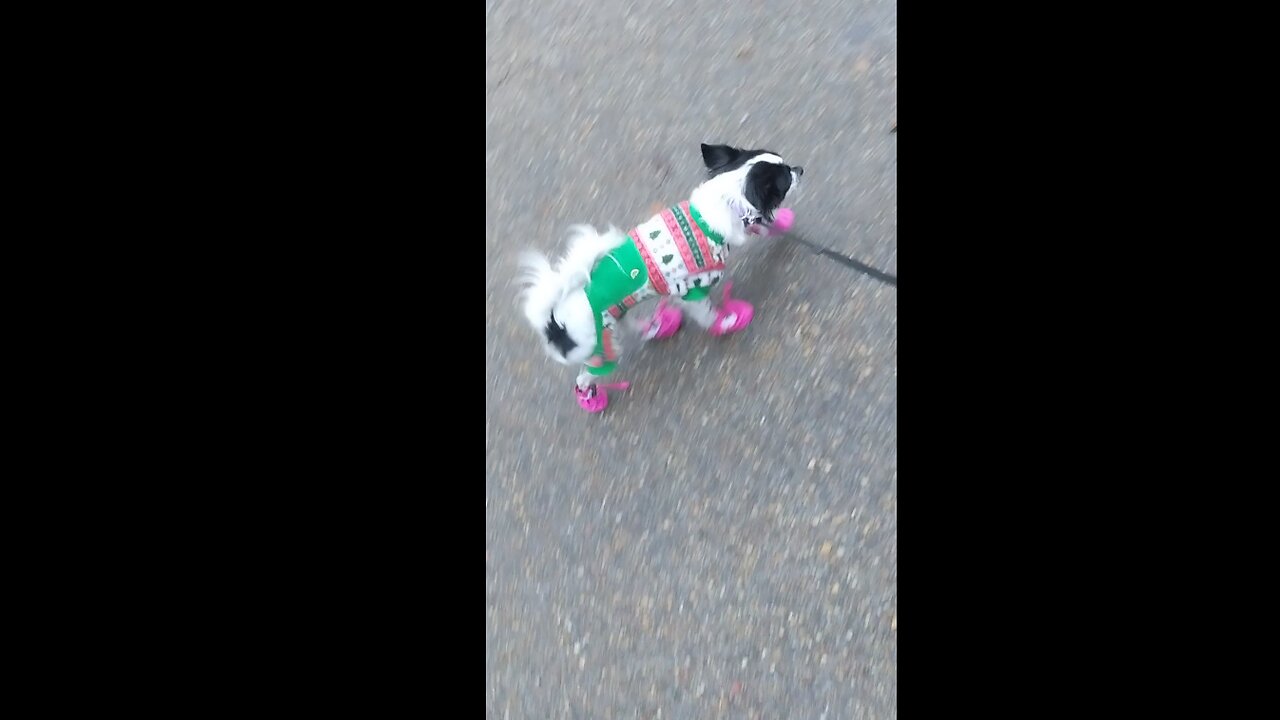 CHRISTMAS HARPER