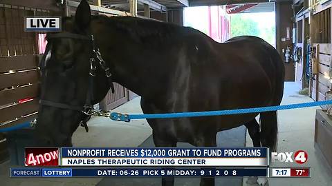 Naples Therapeutic Riding Center receives grants to fund programs for women and children in need - 7am live report