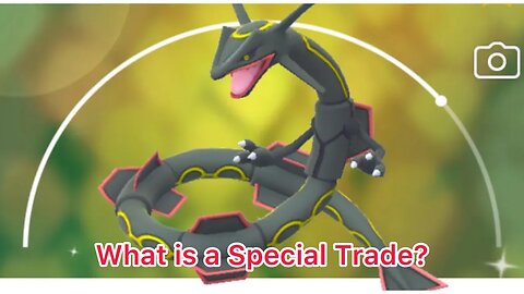 What is a Special Trade?