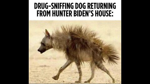 Blagging lol lal💜🙏💜🧙‍♂️