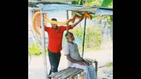 Fake Snake Prank | Amuku dumuku amal dumal song | #shorts #comedy #youtubeshorts #short