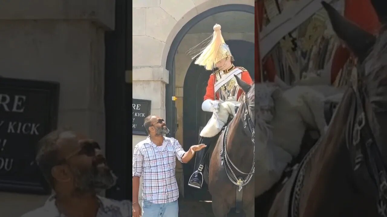 Don't touch the Reins #horseguardsparade