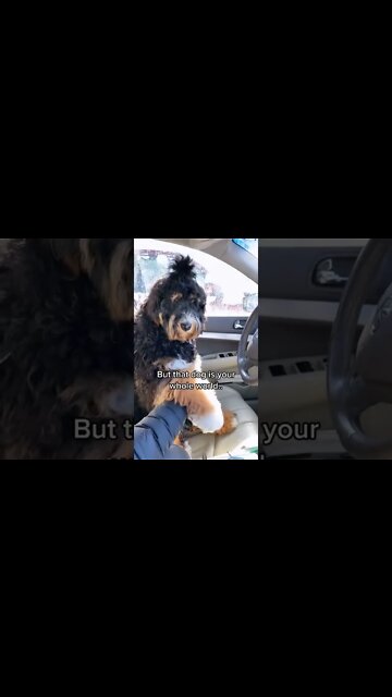 Do you Deserve this ? , # short