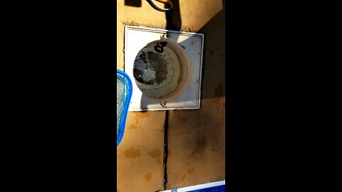 Snake Rescue Fail