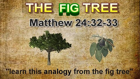 The Fig Tree Analogy --- Matthew 24:32-33