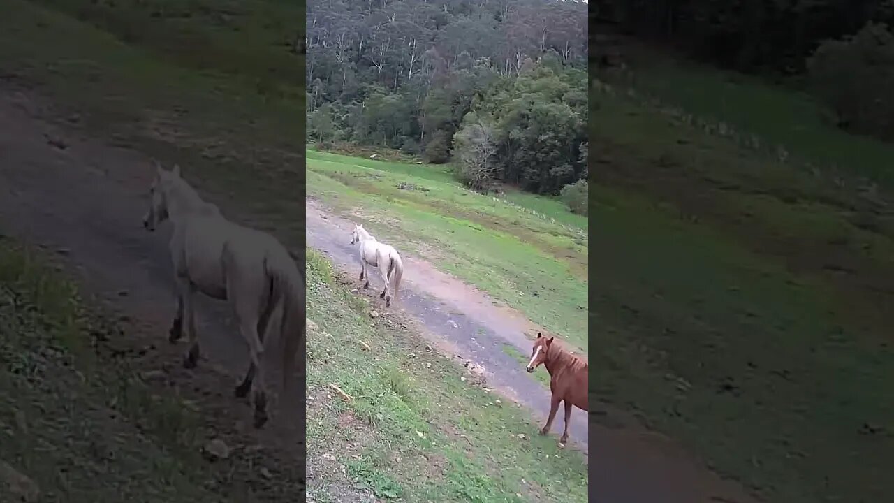 Hm I think I’m being watched…