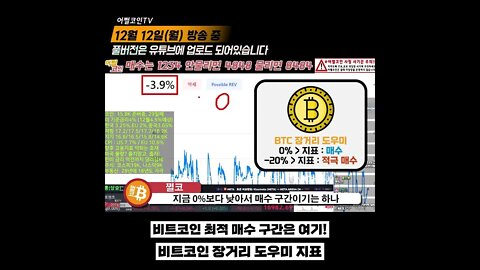 비트코인 장기투자 도우미가 있다? 장거리 도우미|비트코인 실시간 생방송 12월12일 쩔코TV #shorts #쇼츠 #숏츠 #장투 #비트코인전망