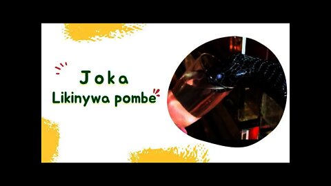 BLACK MAMBA: Jionee nyoka mwenye sumu kali zaidi duniani akilewa.