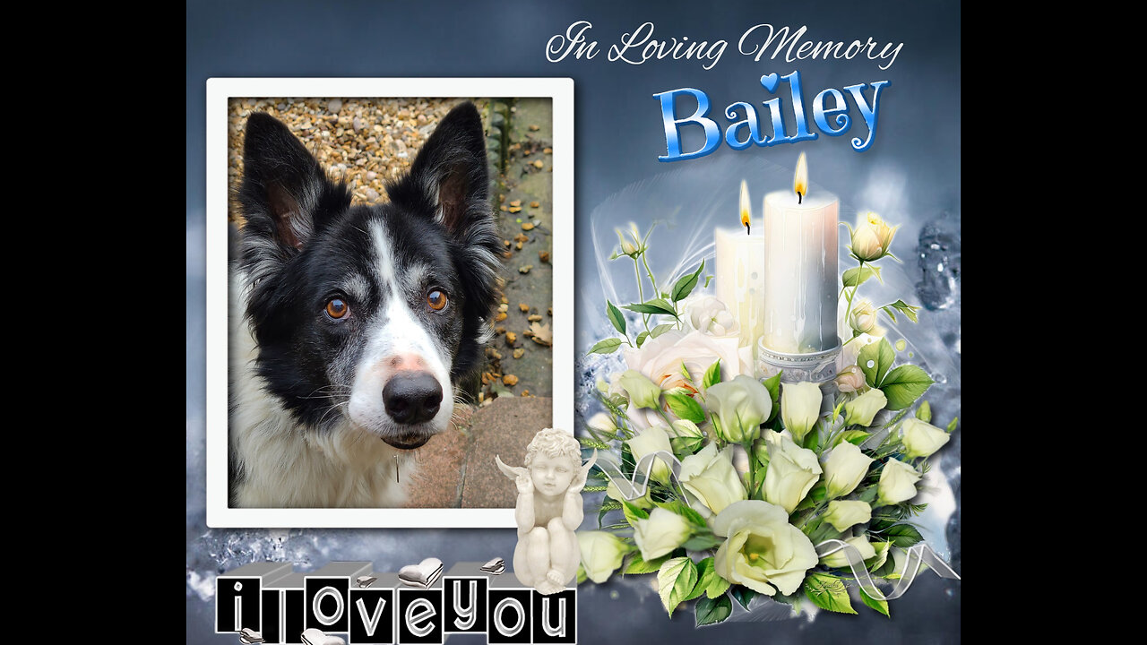 Woofs & Wags: Graphics for Furry Friends - Valentine's Day 2024