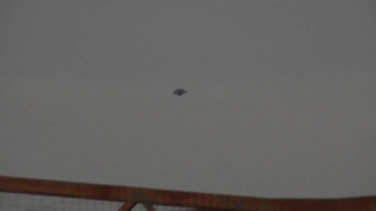 (7/7/2024) | UFO Sighted by Ground Based Observers in Brazil; Brazilian Air Force Says