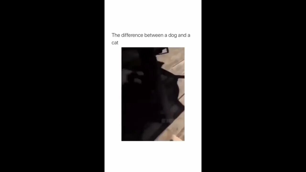 Zero hesitation