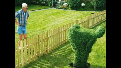 Van Halen - "Bottoms Up"