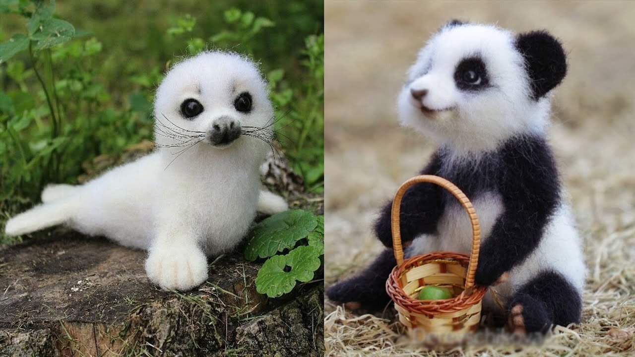 Cutest Pets You can own......