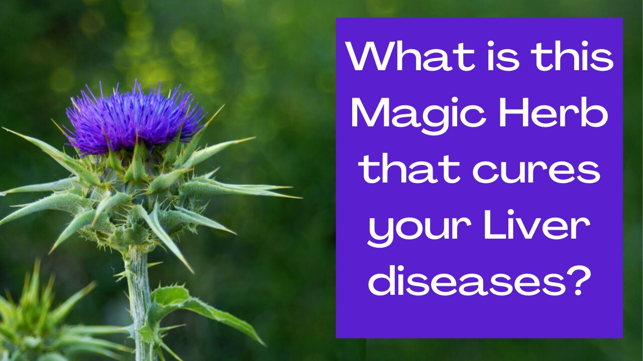 Milk Thistle- A Magical Herb Curing Liver Diseases