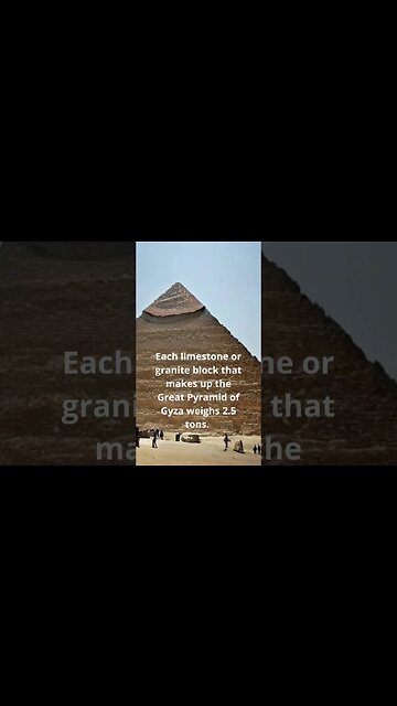 curiosities from the world #shorts