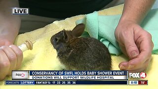 Conservancy of SWFL holds baby shower event to benefit wildlife hospital