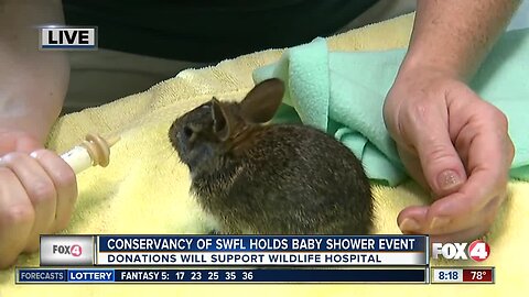 Conservancy of SWFL holds baby shower event to benefit wildlife hospital