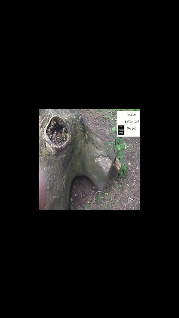 Free Prizes 1 #theboxdrop #1 #norwich #money #shorts