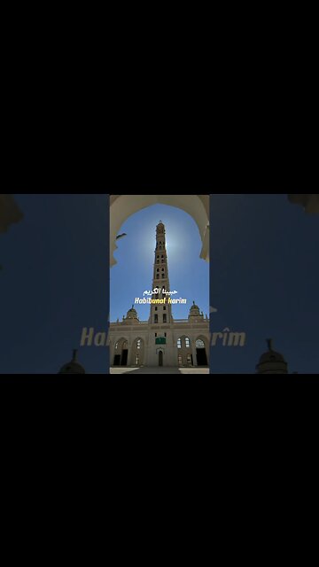 Ya Tarim . #sholawat #sholawatnabi #shorts